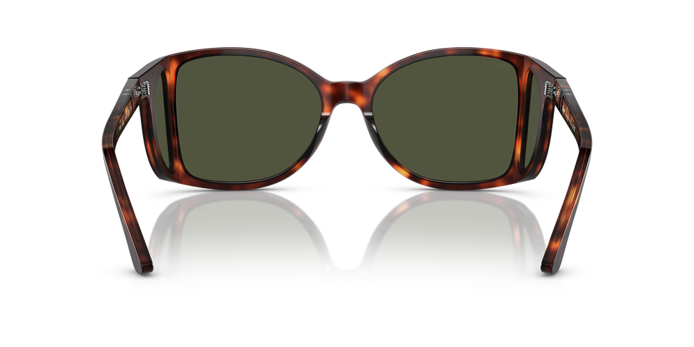 Persol PO0005 con Montatura Havana e Lenti Verde - Immagine 5
