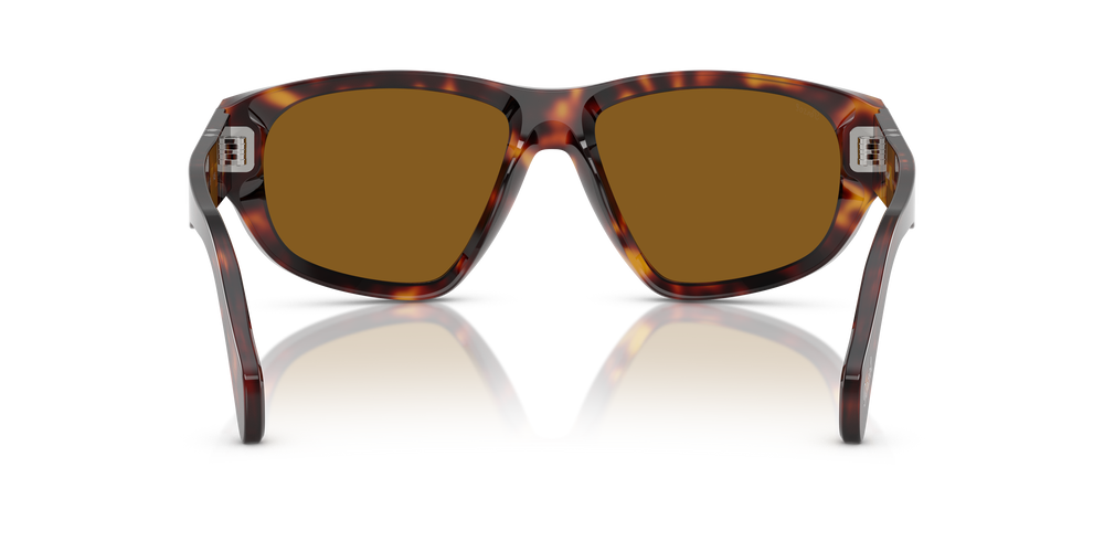 Persol PO0050S con Montatura Havana e Lenti Marrone - Immagine 5
