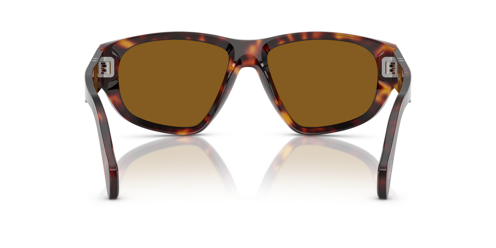 Persol PO0050S con Montura Habana y Lentes Marrón - Imagen 5