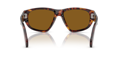 Persol PO0050S con Montura Habana y Lentes Marrón - Imagen 5
