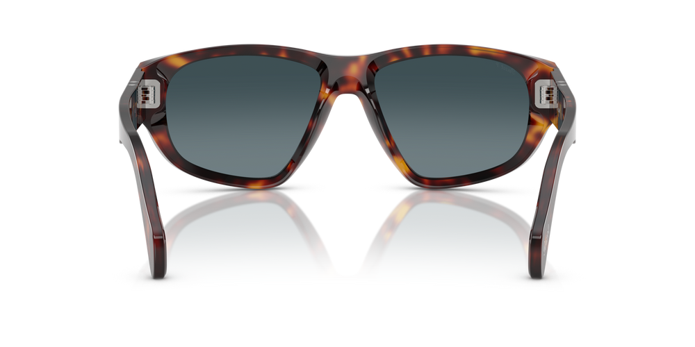 Persol PO0050S mit Havana Gestell und Blau Gläsern - Bild 5