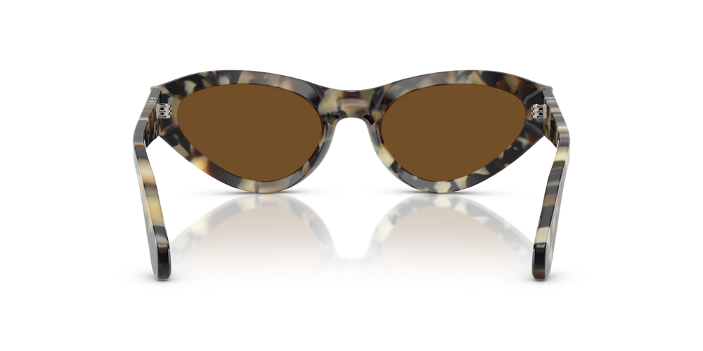 Persol PO0052S con Montura Carey Marrón y Lentes Marrón - Imagen 5
