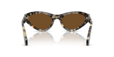 Persol PO0052S with Brown Tortoise Frame and Brown Lenses - Image 5