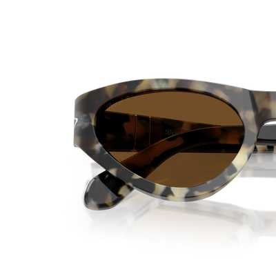 Persol PO0052S with Brown Tortoise Frame and Brown Lenses – Variant Image