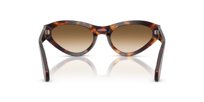 Persol PO0052S con Montura Habana y Lentes Marrón - Imagen 5