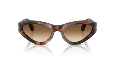 Persol PO0052S with Havana Frame and Brown Lenses - Image 2