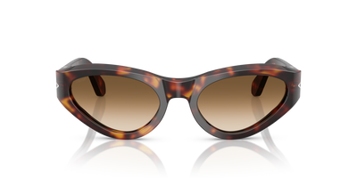 Persol PO0052S con Montura Habana y Lentes Marrón - Imagen 2