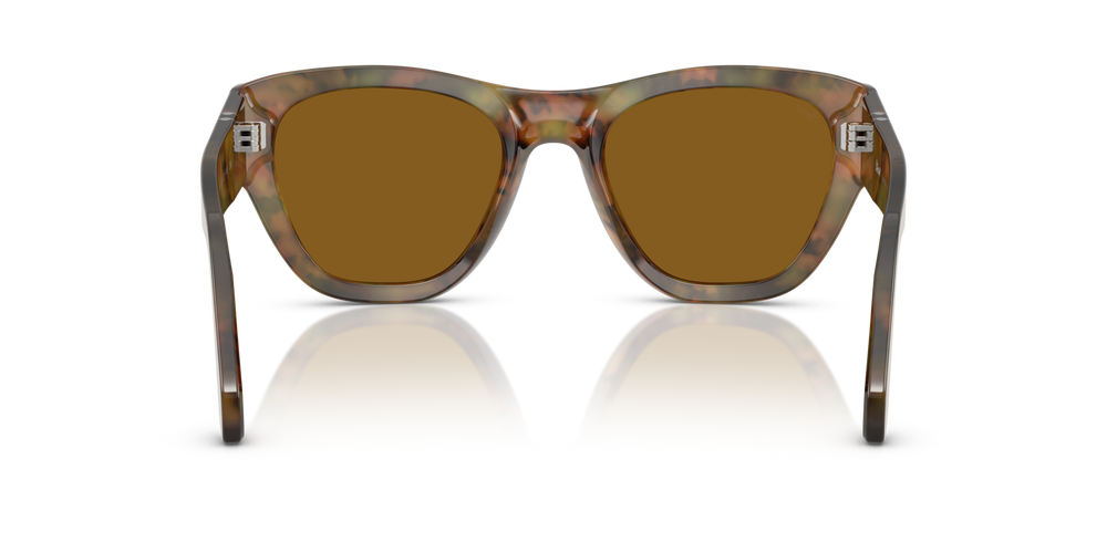 Persol PO0054S avec Monture Café et Verres Brun - Image 5