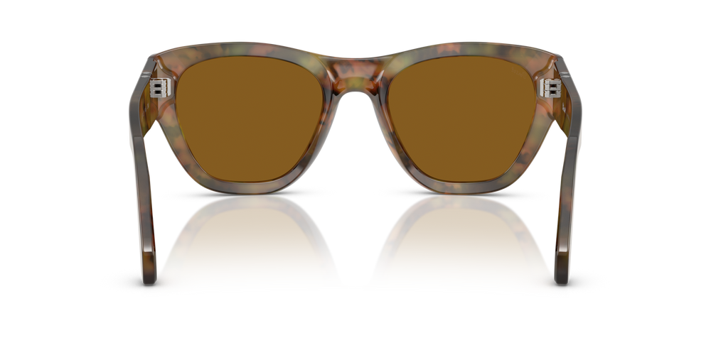 Persol PO0054S mit Caffé Gestell und Braun Gläsern - Bild 5