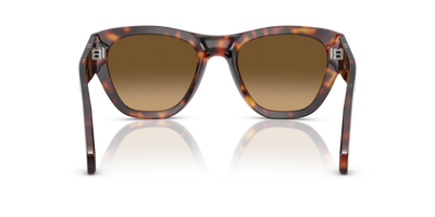 Persol PO0054S with Havana Frame and Brown Lenses - Image 5