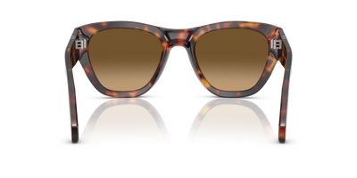 Persol PO0054S avec Monture Havana et Verres Brun - Image 5