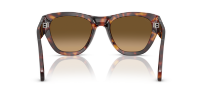 Persol PO0054S with Havana Frame and Brown Lenses - Image 5