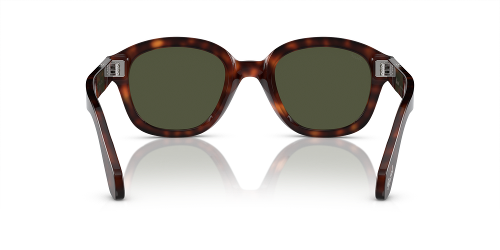 Persol PO0060S avec Monture Havana et Verres Vert - Image 5