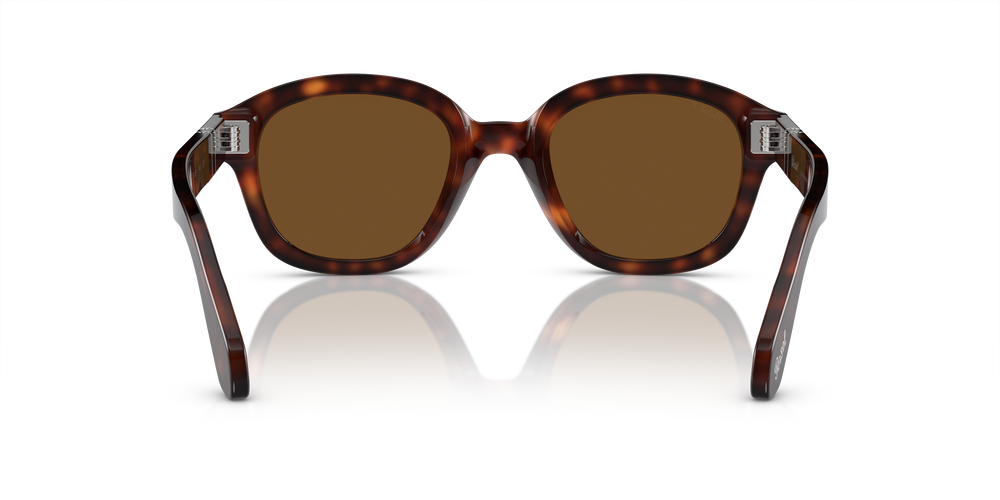 Persol PO0060S con Montatura Havana e Lenti Marrone - Immagine 5