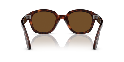 Persol PO0060S con Montatura Havana e Lenti Marrone - Immagine 5