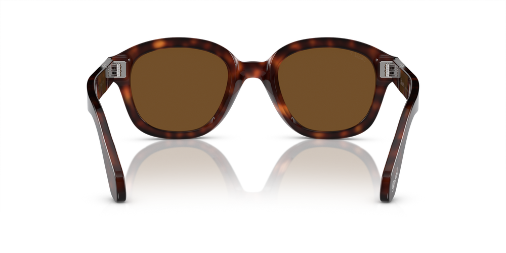 Persol PO0060S with Havana Frame and Brown Lenses - Image 5