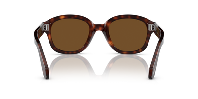 Persol PO0060S with Havana Frame and Brown Lenses - Image 5