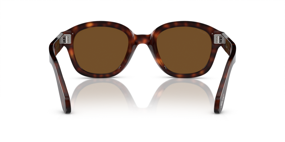 Persol PO0060S with Havana Frame and Brown Lenses - Image 5