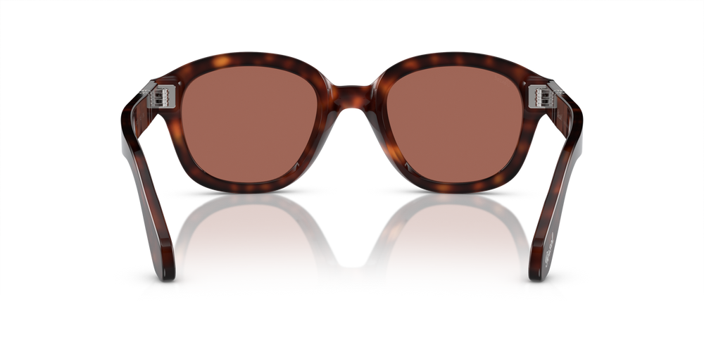 Persol PO0060S with Havana Frame and Brown Lenses - Image 5
