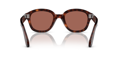 Persol PO0060S with Havana Frame and Brown Lenses - Image 5
