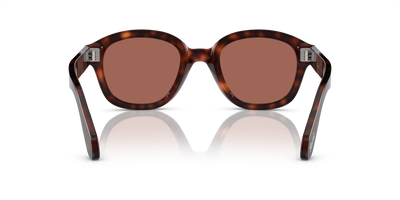 Persol PO0060S with Havana Frame and Brown Lenses - Image 5