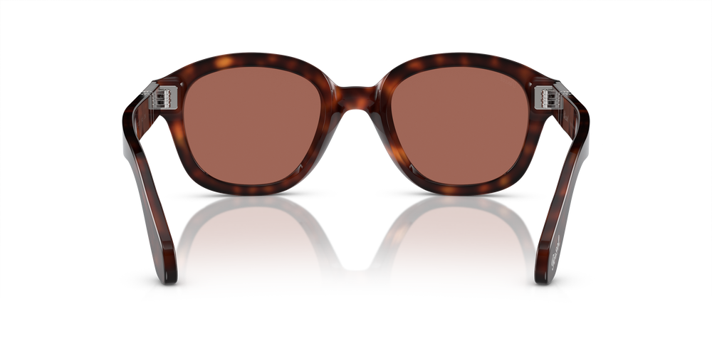 Persol PO0060S con Montatura Havana e Lenti Marrone - Immagine 5
