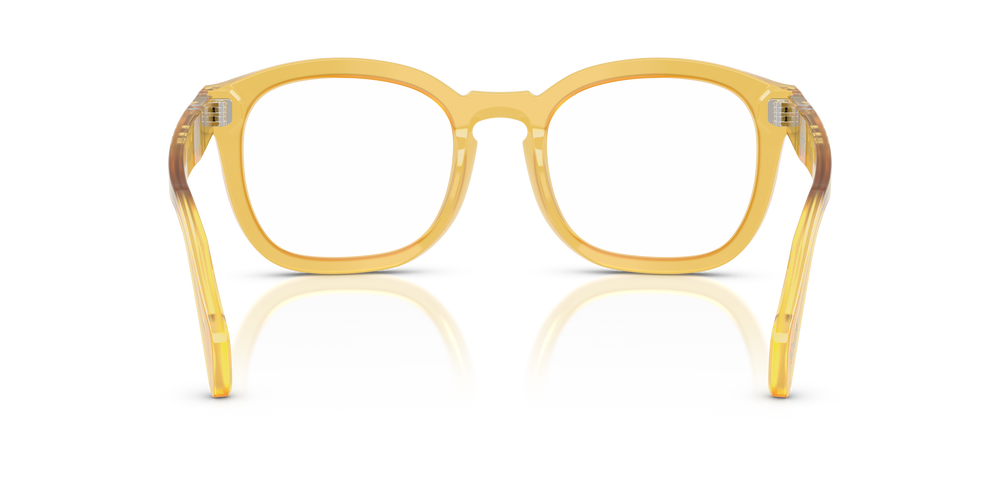 Persol PO0082V with Miele Frame - Image 5