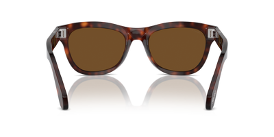 Persol PO0086S mit Havana Gestell und Braun Gläsern - Bild 5