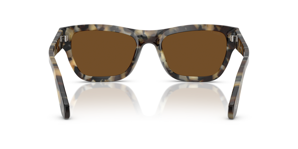 Persol PO0091S mit Braun Tortoise Gestell und Braun Gläsern - Bild 5