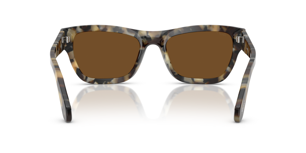 Persol PO0091S com armação Tartaruga Castanho e lentes Castanho - Imagens 5