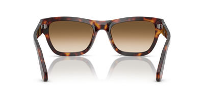 Persol PO0091S avec Monture Havana et Verres Brun - Image 5