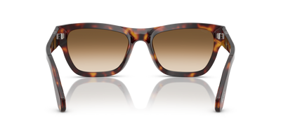 Persol PO0091S with Havana Frame and Brown Lenses - Image 5