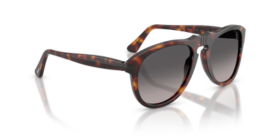 Persol PO0649NE - Total Black Arrow with Havana Frame and Grey Lenses - Image 3