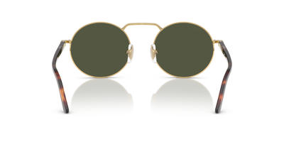Persol PO1019S with Gold Frame and Green Lenses - Image 5