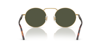 Persol PO1019S with Gold Frame and Green Lenses - Image 5