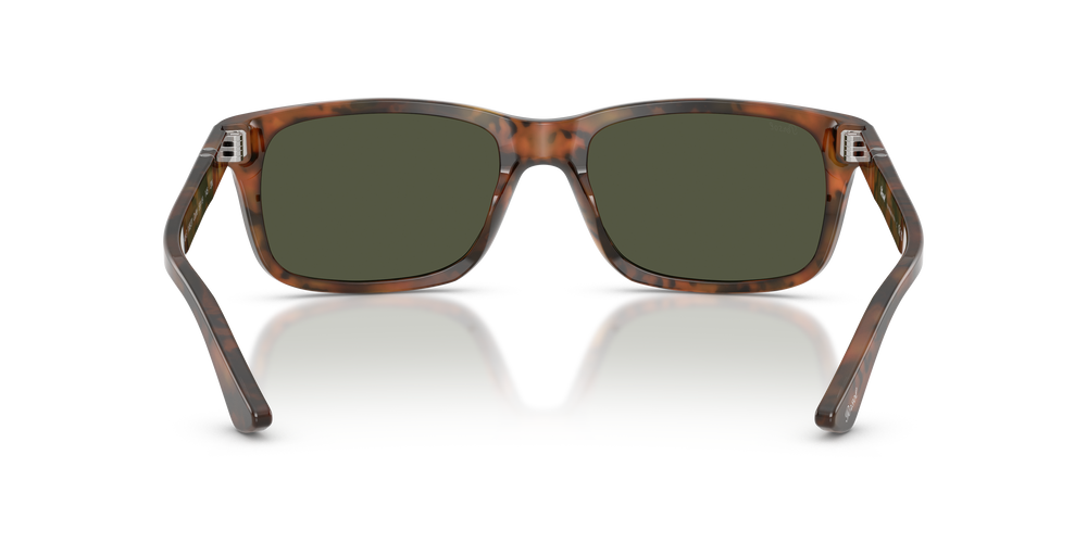Persol PO3048S con Montatura Caffè e Lenti Verde - Immagine 5
