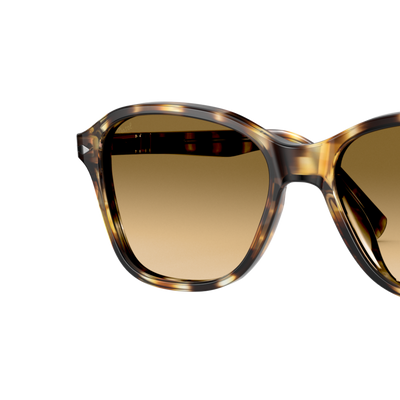 Persol PO3244S avec Monture Jaune rayé Marron et Verres Brun – Image variante