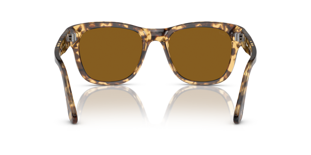 Persol PO3313S with Brown/Beige Tortoise Frame and Brown Lenses - Image 5