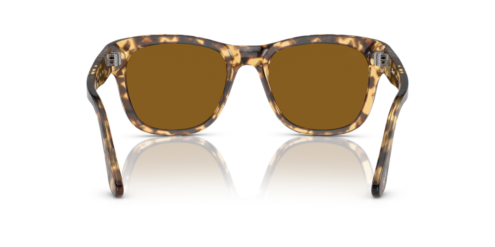 Persol PO3313S com armação Tartaruga Castanho/Bege e lentes Castanho - Imagens 5
