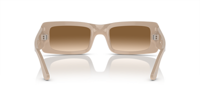 Persol Francis avec Monture Beige uni et Verres Brun - Image 5