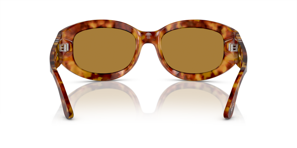 Persol PO3335S avec Monture Marron Écaille de tortue et Verres Brun - Image 5