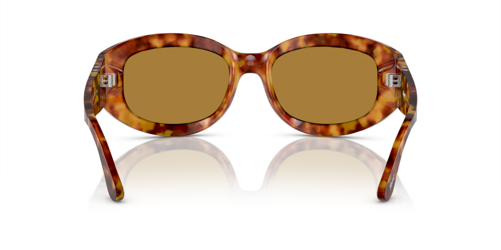 Persol PO3335S con Montatura Tartarugato Marrone e Lenti Marrone - Immagine 5