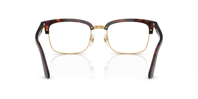 Persol Lina with Havana Frame - Image 5