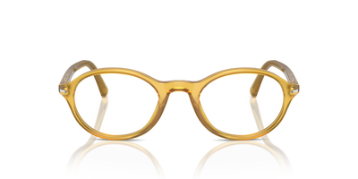 Persol PO3351V with Miele Frame - Image 2