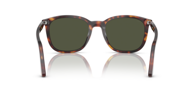 Persol PO3355S with Havana Frame and Green Lenses - Image 5