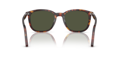 Persol PO3355S avec Monture Havana et Verres Vert - Image 5