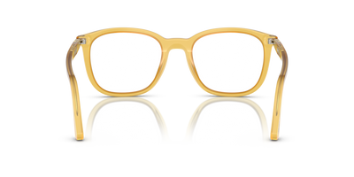 Persol PO3355V with Miele Frame - Image 5