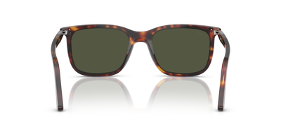 Persol PO3357S - Renzo with Havana Frame and Green Lenses - Image 5