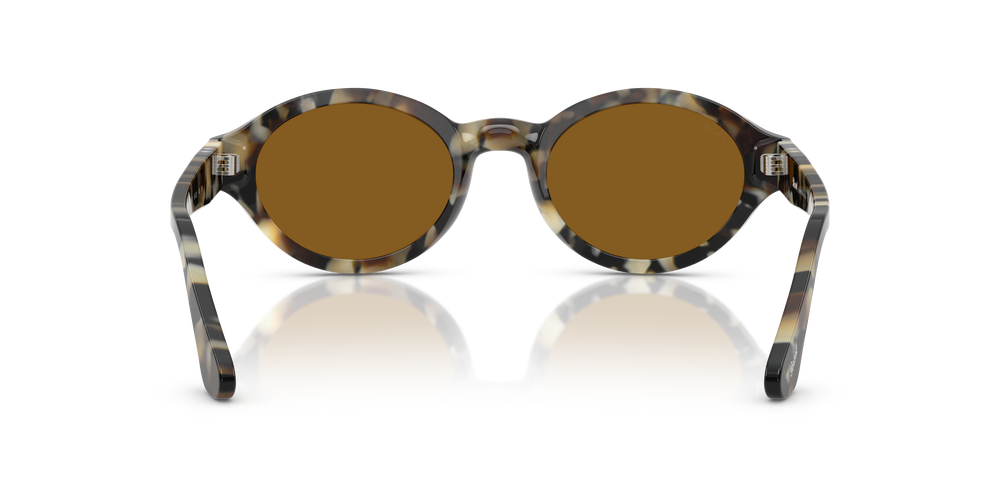 Persol PO3378S - Loris mit Braun Tortoise Gestell und Braun Gläsern - Bild 5
