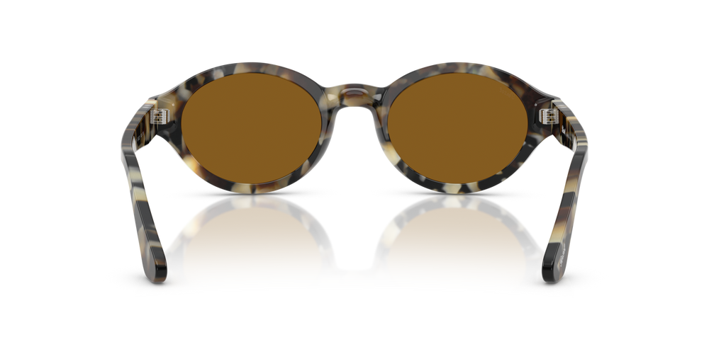 Persol PO3378S - Loris with Brown Tortoise Frame and Brown Lenses - Image 5